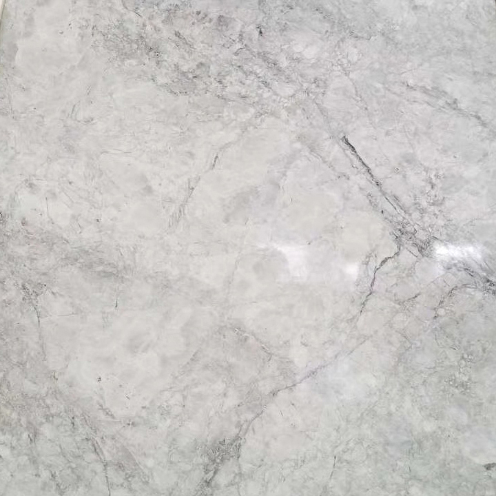 Calacatta Grey Quartzite HS1309
