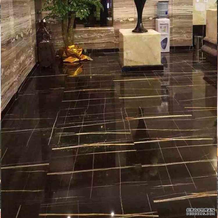 Exotic Lauren Black Gold Marble
